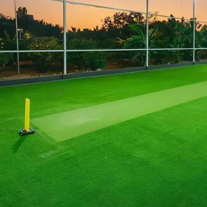 Cricket Turf